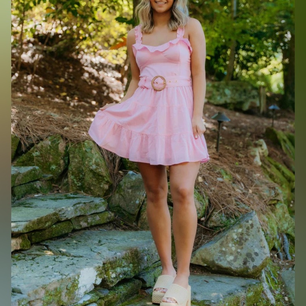 SHOW ME YOUR MUMU $178 Joliene Mini Dress - Picture 4 of 5